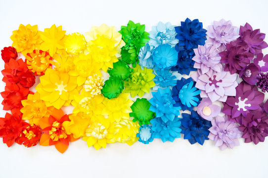 Paper craft flower rainbow color. Tolerance of people.
