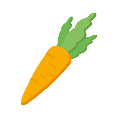 fresh carrot vegetable icon