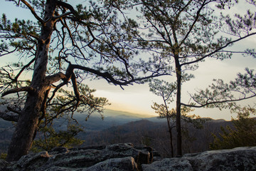 Trees on edge of mountain viewing sunset in great smoky mountains