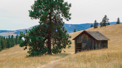 Abandoned House at Wild Horse Island at the Flathead Lake in Montana