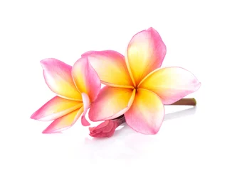 Deurstickers Frangipani flower on white background © Kompor