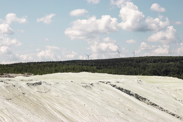 sand dune and forest