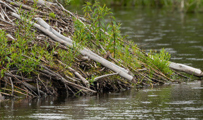 Waters Edge at Beaver Lodge
