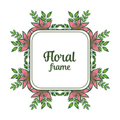 Vector illustration texture pink floral frames blooms