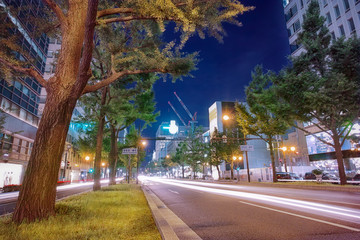 御堂筋・夜景・大阪