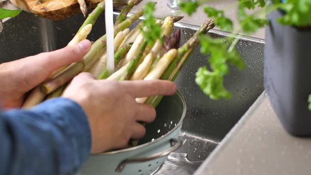 Waschen von frischem Spargel in Sp&uuml;lbecken