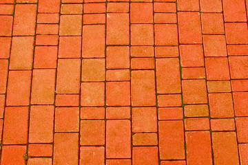 Red brick paving stones on a sidewalk