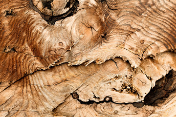 Wood texture red cedar plank ,close up of burl and knots , knotty grain background, old lumber, timber board