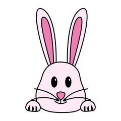 cute rabbit face