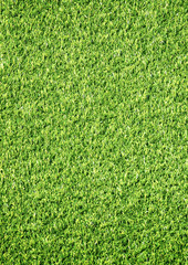 Vertical natured green grass soccer field paper background