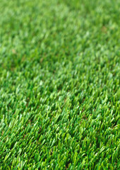 Fototapeta premium Vertical natured green grass golf field paper background