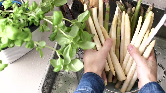 Waschen von frischem Spargel in Sp&uuml;lbecken