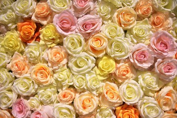 Hundres of roses as background