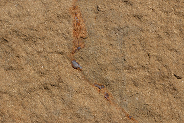 Sandstone with rust.