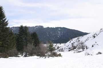 Fototapeta na wymiar Payolle Hautes Pyrénées-10