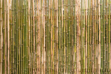 The background of the wall made of bamboo bamboo fence texture background