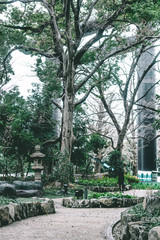 Traditional Japanese Park Garden Trees Sculpture Arch in Tokyo, Japan