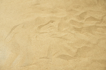 Fototapeta na wymiar Sand on The Beach Texture in the Summer Sun Day. Nature Beautiful Brown Lines in the Golden Sandy. Top View of Empty Tropical Sand. Closeup of Fine Sand Background and Pattern with Copy Space.