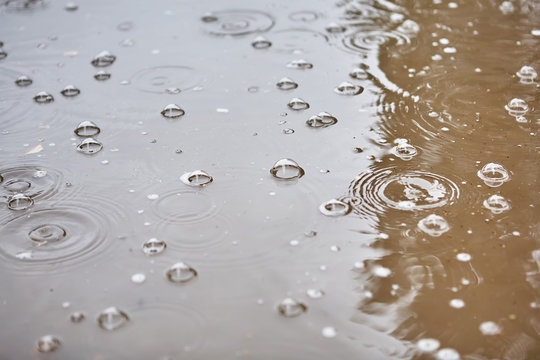 Bubbles from the rain on the surface of the water.