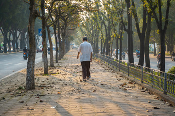 An elderly man is walking through sidewalk among trees in the early morning on Hanoi street