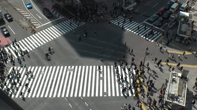SHIBUYA,  TOKYO,  JAPAN - CIRCA MARCH 2019 : Aerial view around SHIBUYA scramble crossing.  Busy crowded area in Tokyo.