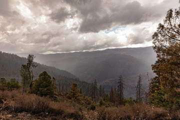 foggy morning in the mountains