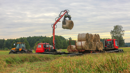 Podlasie-zbiór trzciny © Janusz Lipiński