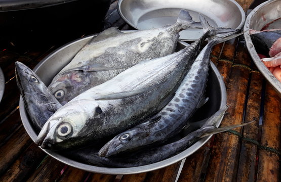 Torpedo or Hardtail or Finletted mackerel scad with Indo-Pacific king mackerels and Black pomfret fish in metal plate at the market, Saltwater fish species in Thailand