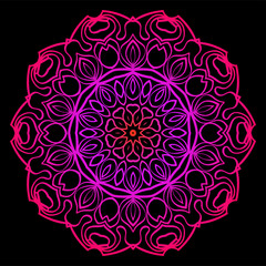 Modern Decorative Floral Color Mandala. Super Vector Round Shapes. Vector Illustration. Black, red purple color