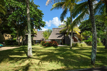 Wooden resort with coconut garden