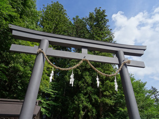 Beautiful Torii at the Togakushi-Jinja Shrine in Nagano Prefecture