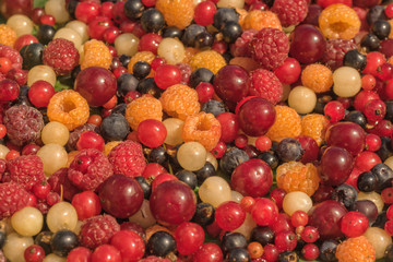 Macro of Mixed Berries