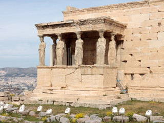 Obraz premium Details of the temple of Athena Polias at Acropolis in Athens