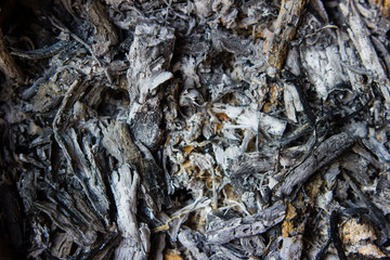 Pile of ashes from burn the wood in the stove. background and grunge texture