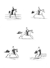 Horse