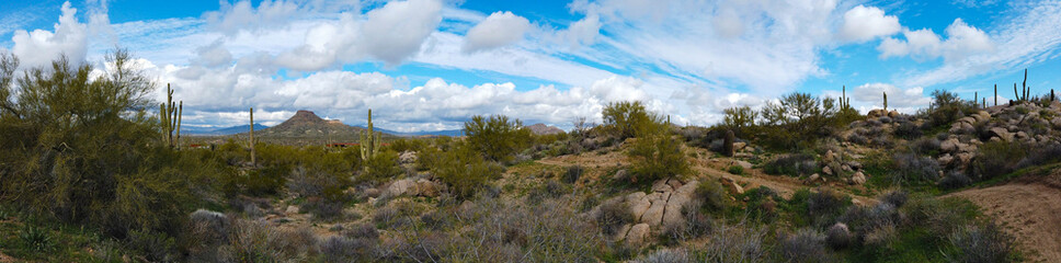 Fototapeta na wymiar Panorama of Brown's Ranch in Scottsdale Arizona