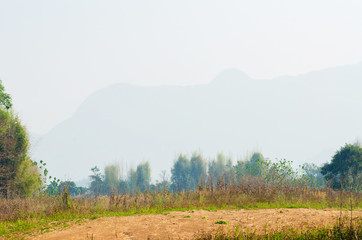 trees in forest landscape and mountains view with haze at summer of Thailand