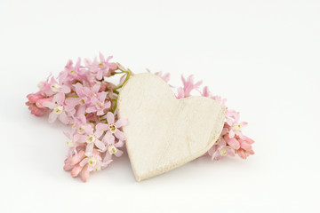 heart and flower lying on white