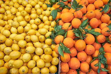 Tangerines and lemons for sale at a market