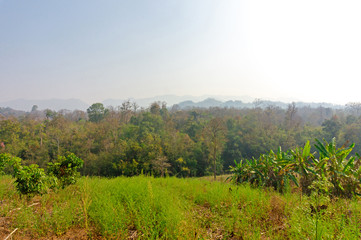 Fototapeta na wymiar trees in forest landscape and mountains view with haze at summer of Thailand