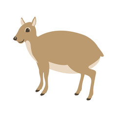 cartoon dwarf antelope,vector illustration ,profile