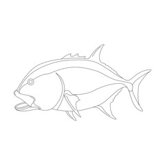sea fish, vector illustration ,profile view