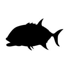sea fish, vector illustration ,profile view