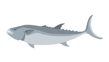 sea fish, vector illustration ,profile view