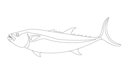 sea fish, vector illustration ,profile view