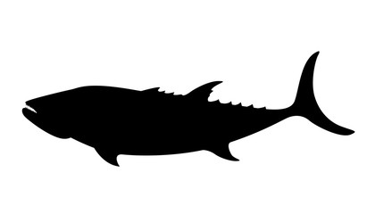 sea fish, vector illustration ,profile view