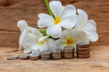 The concept of saving money on the old wooden floor.