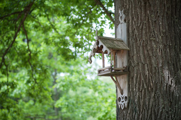 bird feeder on a tree in summer