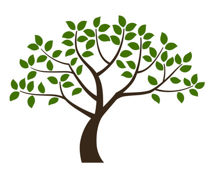 Illustration material of tree