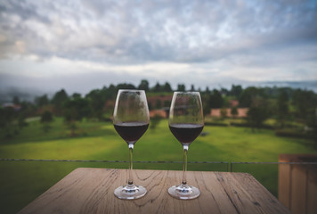   Drinking wine at beautiful garden outdoor sky mountains scenery views 